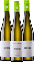 Pacote de vantagens de 3x Riesling seco - Vinícola Winter