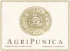 Agricola Punica