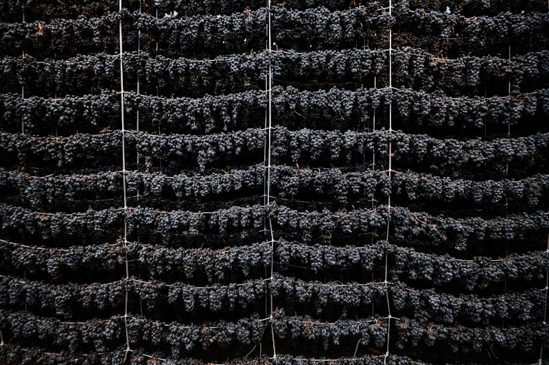 Uvas da Gevorkian Winery Uvas da Gevorkian Winery
