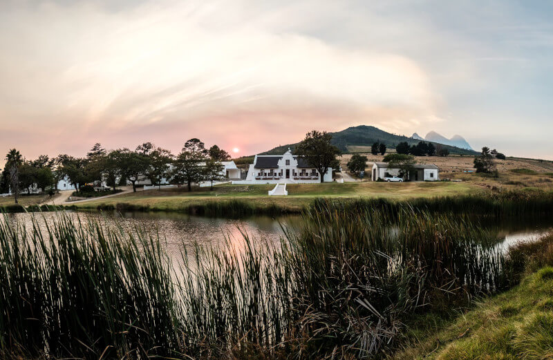 weingut-lievland_ineyards-weinberg weingut-lievland_ineyards-weinberg