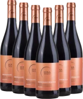 6er Vorteils-Weinpaket - Appassimento Negroamaro Primitivo - Luna Argenta