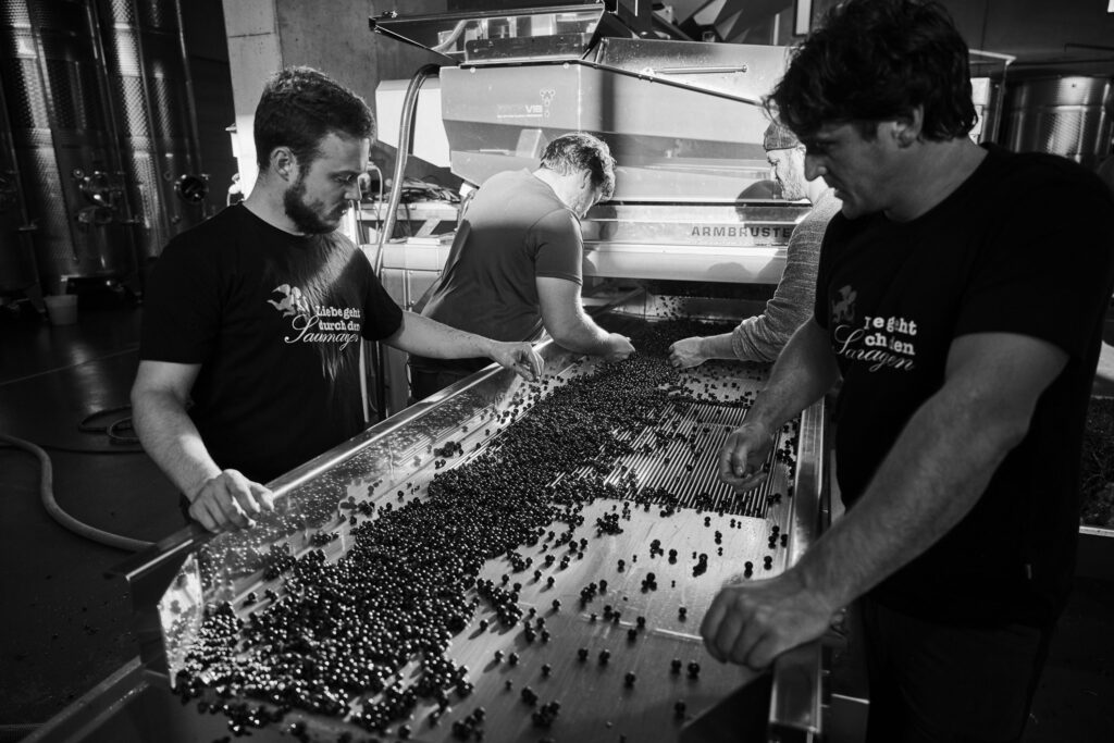 Na casa do lagar de Weingut Rings