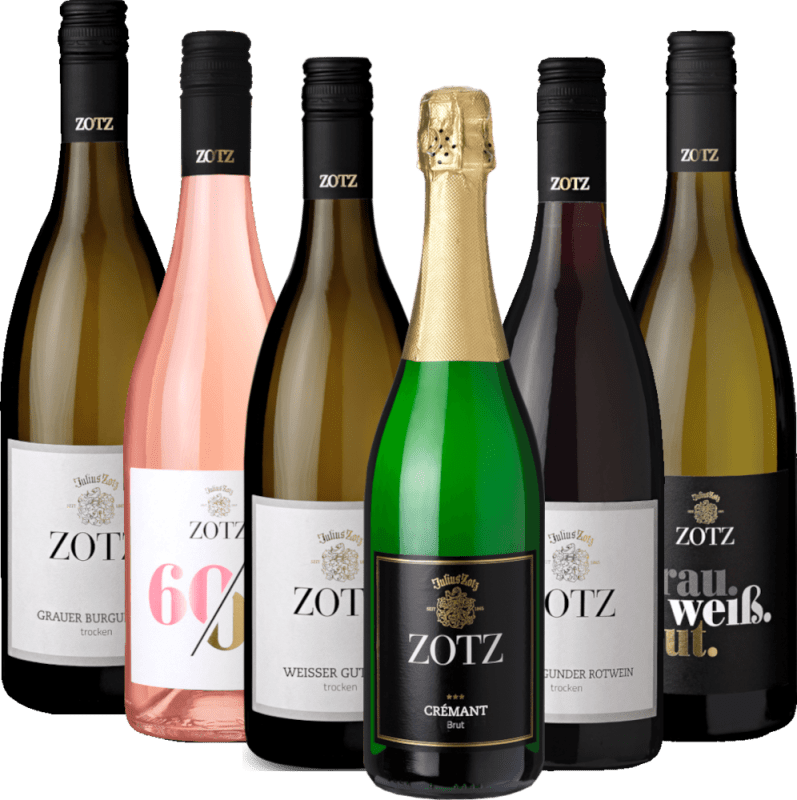 Diversidade de vinhos da região de Baden - Pacote de degustação 6x da vinícola Zotz