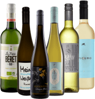 Apreciação de vinho branco sem álcool – pack de degustação 6x