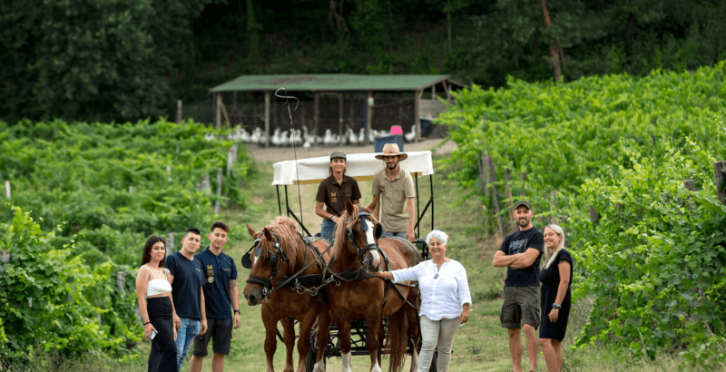 Das Team von Di Filippo Das Team von Di Filippo