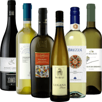 Weißwein Bestseller aus Italien - 6x Probierpaket