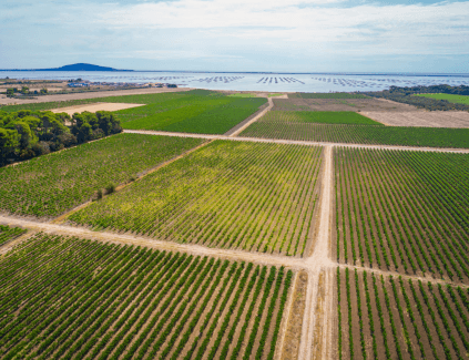 Terroir da Domaine de Belle Mare