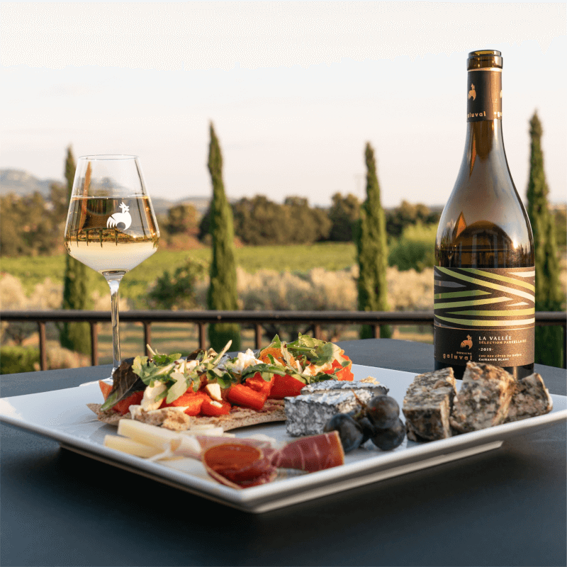 Weingut-Domaine-de-Galuval-Speise