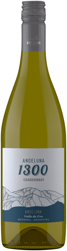 Chardonnay 1300 Tupungato Mendoza 2021 - Andeluna Cellars