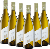 Vorschau: Wien.1 - Weingut Pfaffl - 6x pacote de degustação