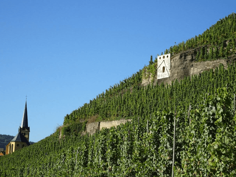 Die historische Zeltinger Sonnenuhr im Weinberg