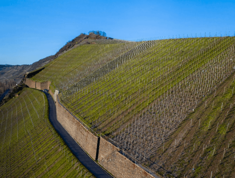 Grans Fassian beste Hanglagen Grans Fassian beste Hanglagen