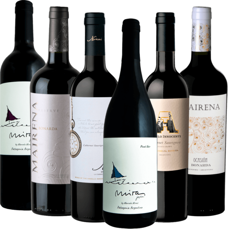Tesouros do vinho escondidos da Argentina da VINELLO - Pacote de descoberta com 6 garrafas