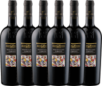 6er Vorteilspaket - Montepulciano d'Abruzzo DOC - Tenuta Ulisse