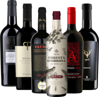 Primitivo Bestseller Hidden Champions 6x Pacote de Provas da VINELLO
