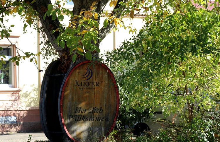 Vinícola Kiefer Seja muito bem-vindo Vinícola Kiefer Seja muito bem-vindo