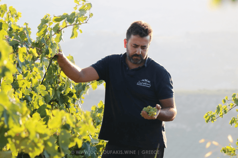 Douloufakis Winery Vinicultor Douloufakis Winery Vinicultor