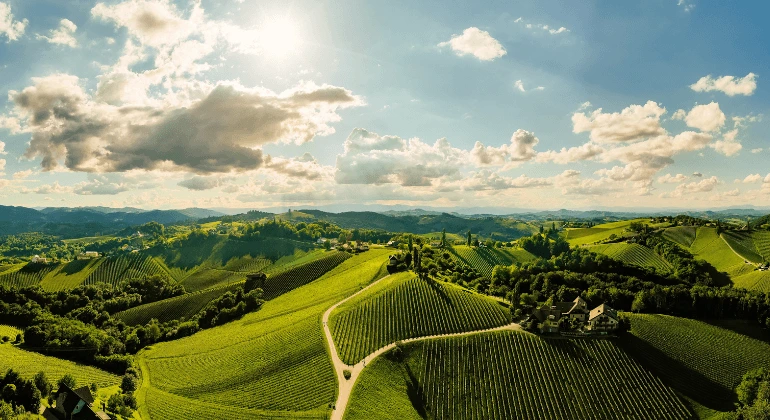 A viagem do Riesling pela Alemanha – pacote de 6 castas