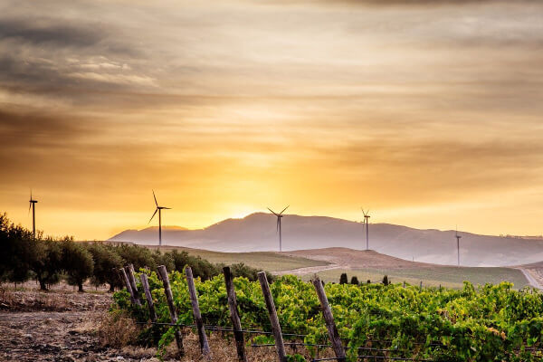 Modernidade e tradição na Branciforti Modernidade e tradição na Branciforti