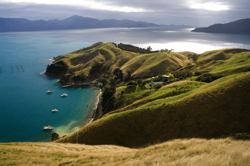 Misty Cove Marlborough Sounds