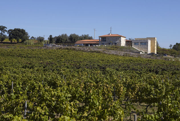Quinta de Baixo da Niepoort na Bairrada