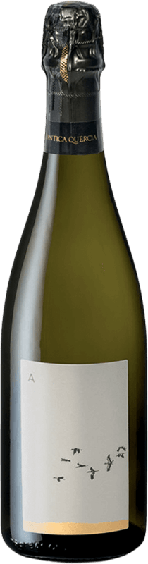 Coneglaino Prosecco brut nature bio DOCG - L'Antica Quercia
