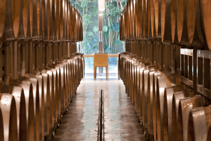 Adega Cusumano Barricaia