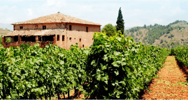 Das Gutshaus Das Gutshaus