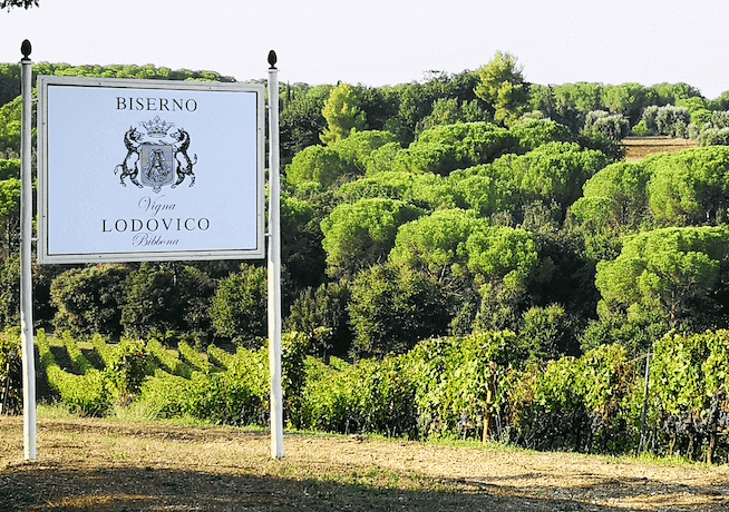 Tenuta di Biserno Vigna Lodovico Tenuta di Biserno Vigna Lodovico