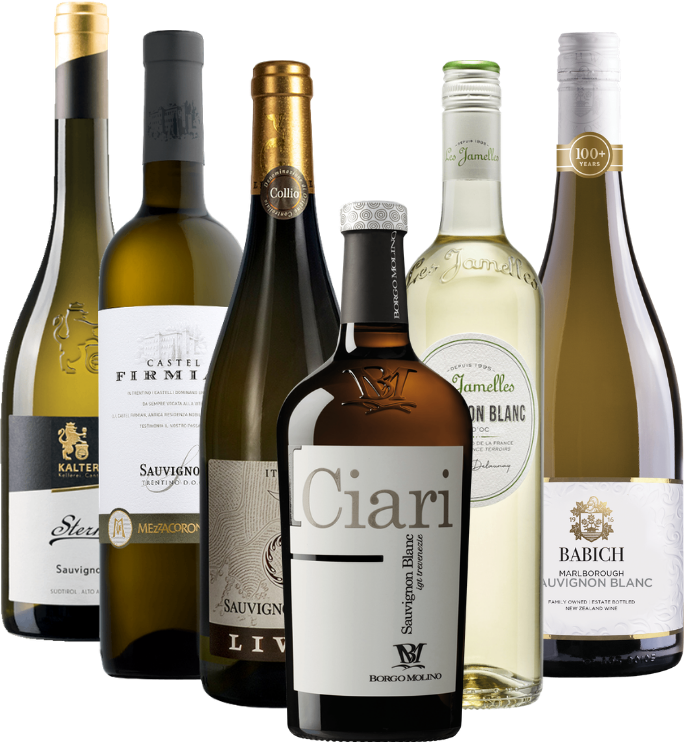 O fascinante mundo do Sauvignon Blanc - conjunto de 6 castas de uvas