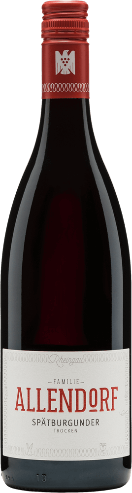 Vorschau: 6er Probierpaket - Weine vom Weingut Allendorf