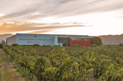 Die moderne Kellerei Die moderne Kellerei