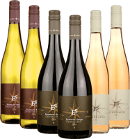 Vinhos Ellermann-Spiegel exclusivos para fãs de futebol - Pacote de degustação 6x