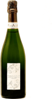 Tersilio Oltrepó Pavese Pinot Nero extra brut IGT - Marchesi di Montalto