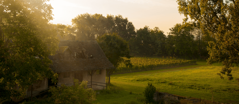 Schloss Reinhartshausen Rheingau pur