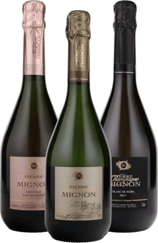 Momentos de emoção com Champagne Pierre Mignon - pacote de 3 experiências para conhecer