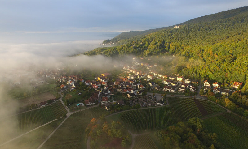Weingut Messmer Burrweiler Luftbild