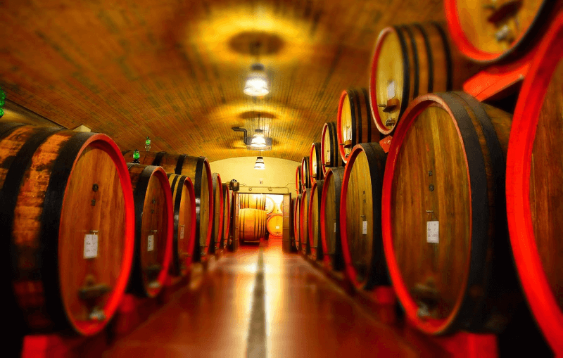 Adega de barricas de madeira da Citra Vini