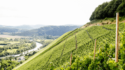 O Kanzemer Altenberg