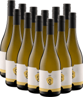 12er Paket - Noovi Fizz Alkoholfreier Sparkler