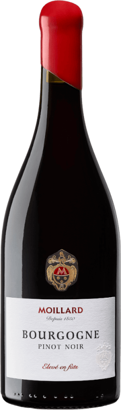 Pinot Noir Bourgogne AOC - Domaine Moillard