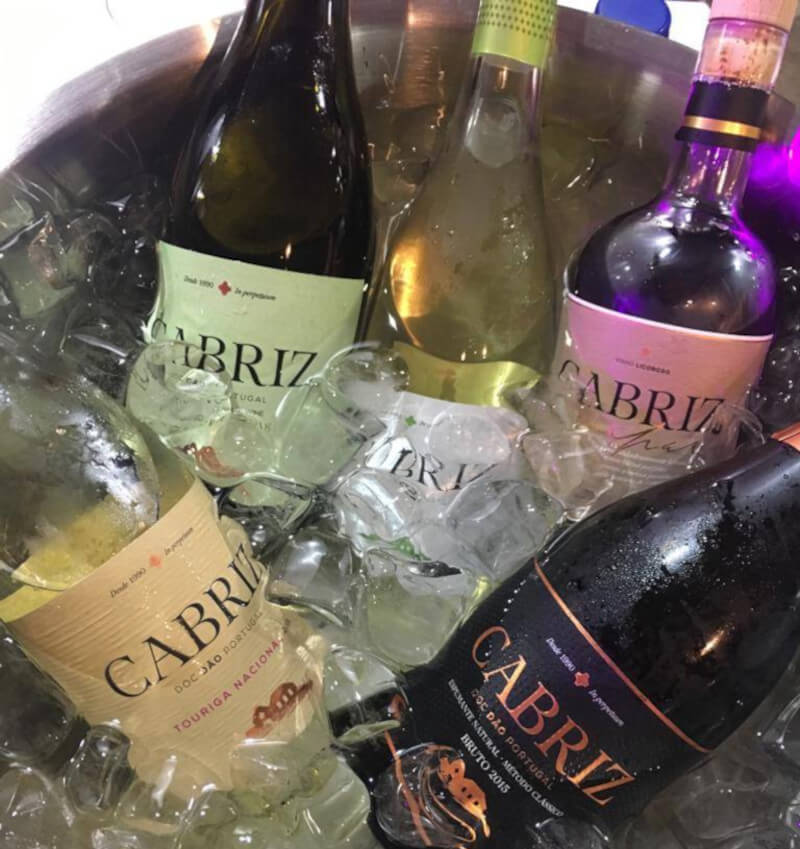 weingut-cabriz-weinberg-2