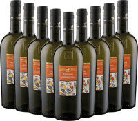 Pecorino Terre d'Abruzzo IGP - Tenuta Ulisse 9x Vorteilspaket