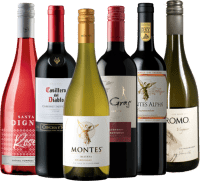 Vorschau: Ring of Wines - O bestseller do Chile 6x pacote de descoberta