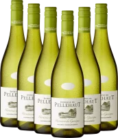 6er Vorteils-Weinpaket - Harmonie de Gascogne Blanc - Domaine de Pellehaut