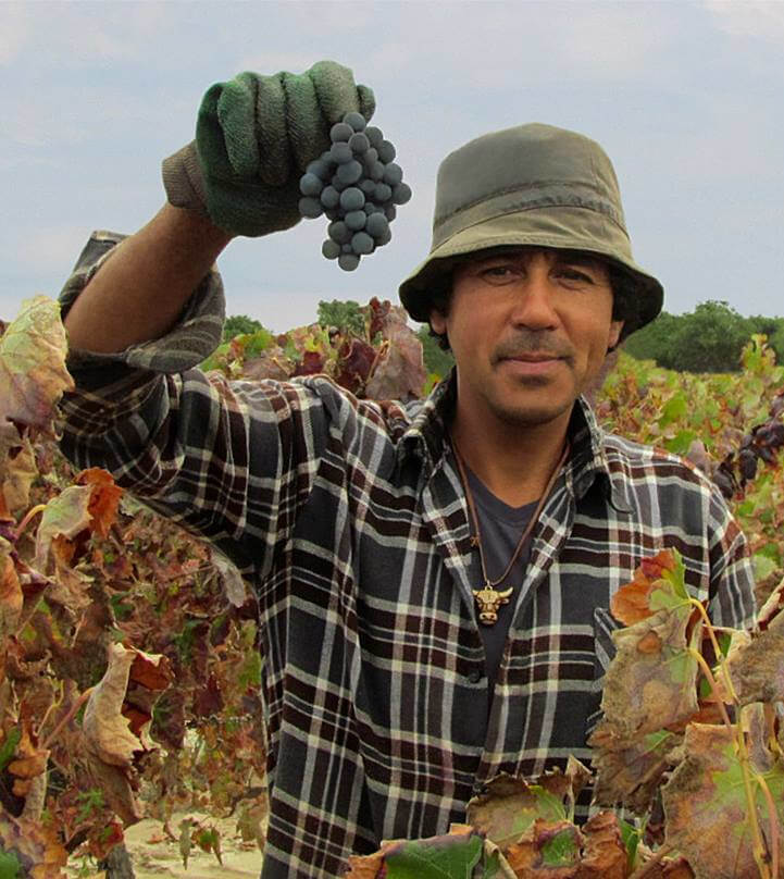 Casa Ermelinda Freitas Castelao Weinlese Casa Ermelinda Freitas Castelao Weinlese