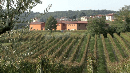 Das Gut Monzio Compagnoni