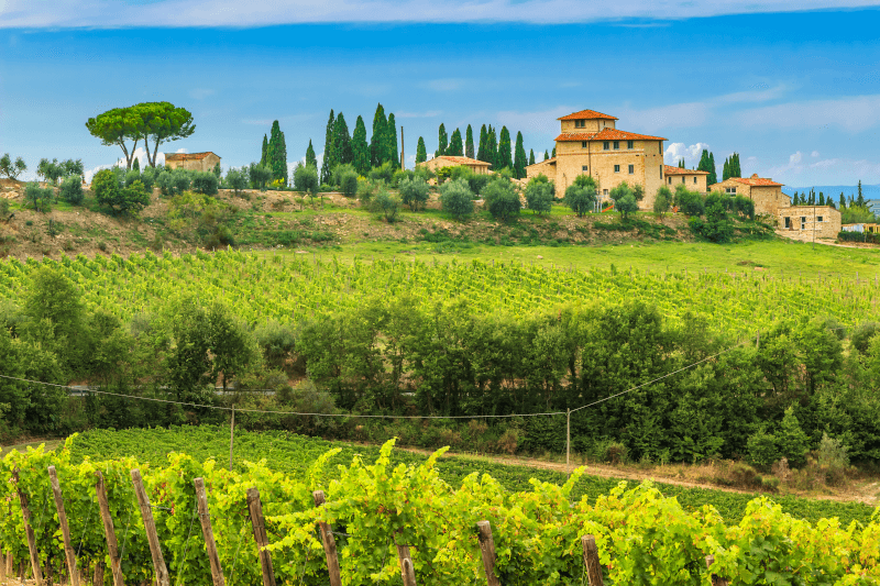 Toskanisches-Steinhaus-im-Chianti-Weinberg