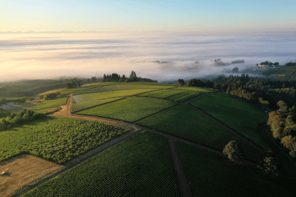 Luftbild der Domaine