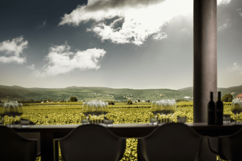 Markus Schneider Blick aus dem Verkostungsraum Markus Schneider Blick aus dem Verkostungsraum